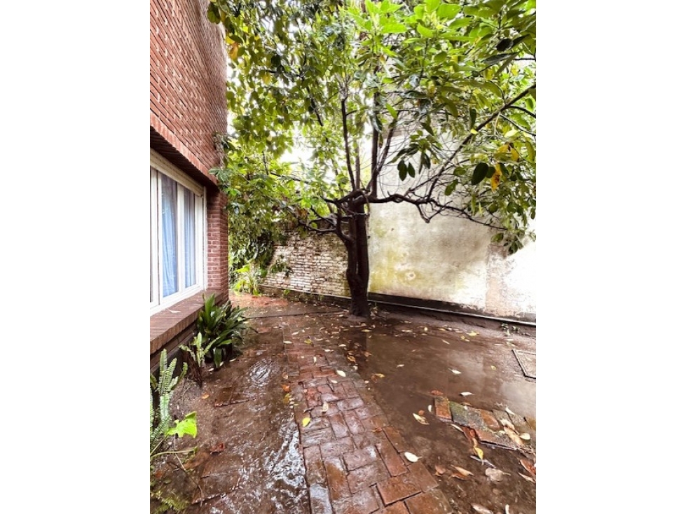 CASA 4 AMB. C/ GARAGE Y PARQUE. LOTE IDEAL DESARROLLO. CHAUVIN — foto 6