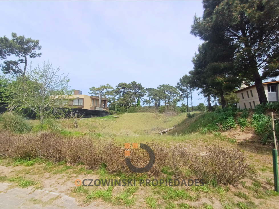 VENTA TERRENO CAMINO DE LOS PIONEROS — foto 2