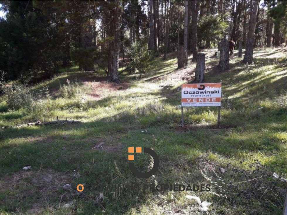 VENTA LOTE NECOCHEA Y 36 (MAR AZUL) - 6