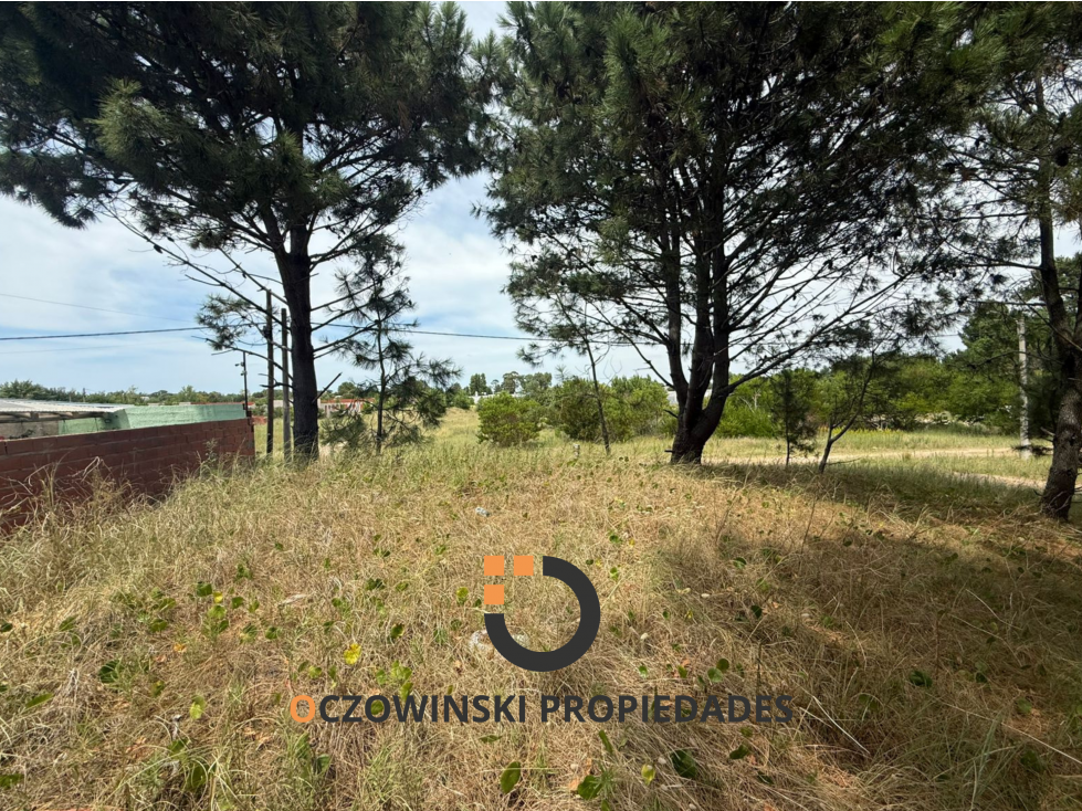 VENTA TERRENO 101 CORT (VILLA GESELL) — foto 5