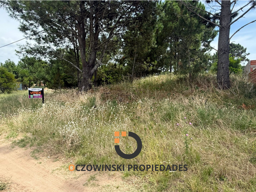VENTA TERRENO 101 CORT (VILLA GESELL) — foto 6