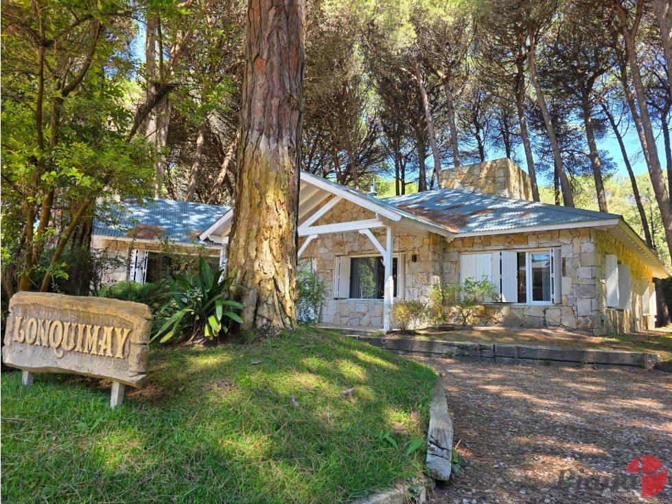 Casa en Venta - Carilo - Inmersa en el Bosque - 1.599 m² de terreno — foto 2