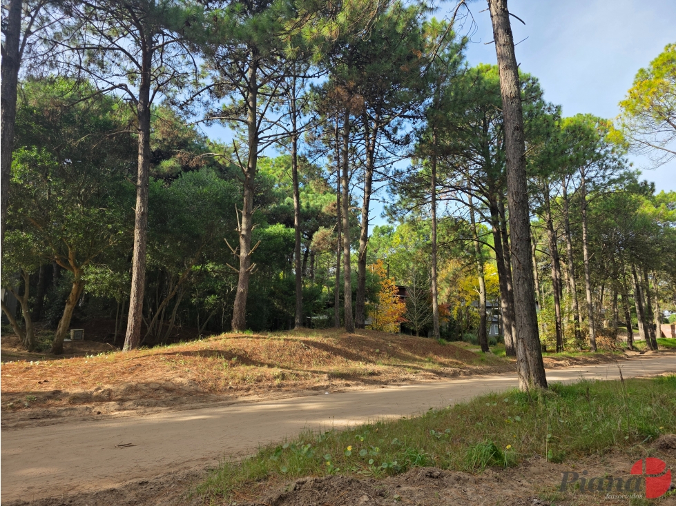 Terreno en Venta - Zona Tridente/Nayades - Boulevard Eros - 834 m² - 5