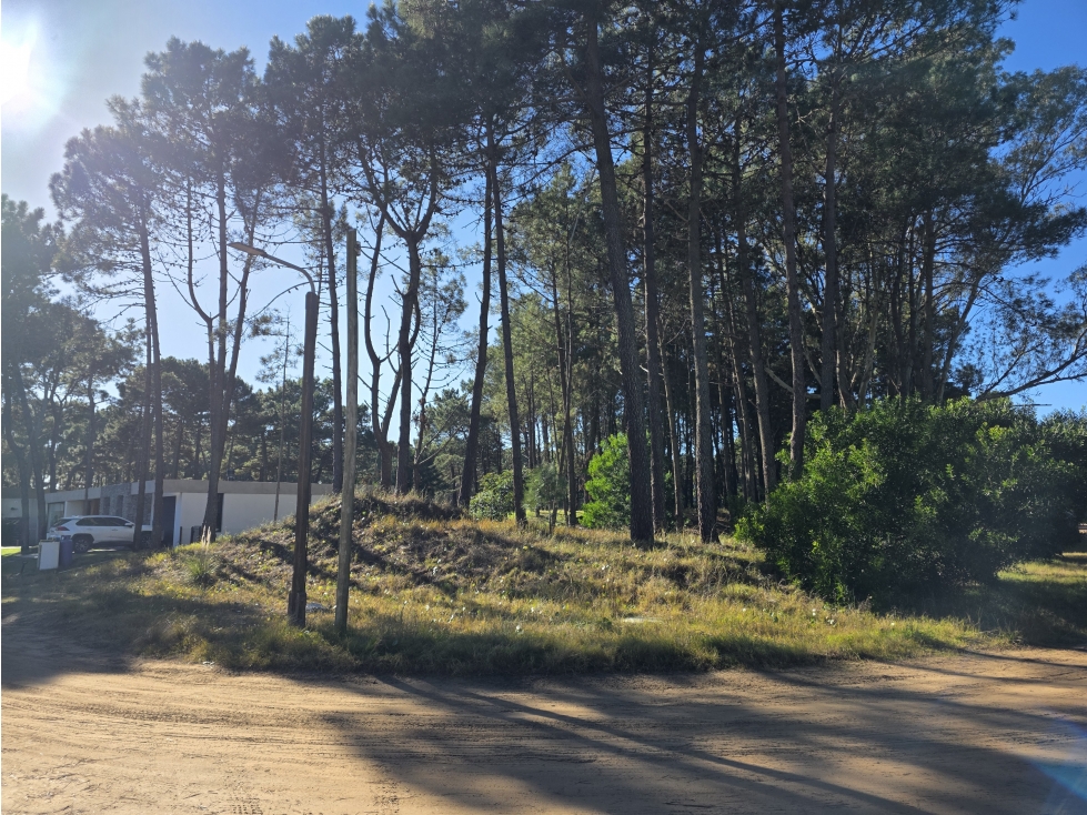 Terreno en Venta - Isla del Golf - Álamos - 996 m² - 1