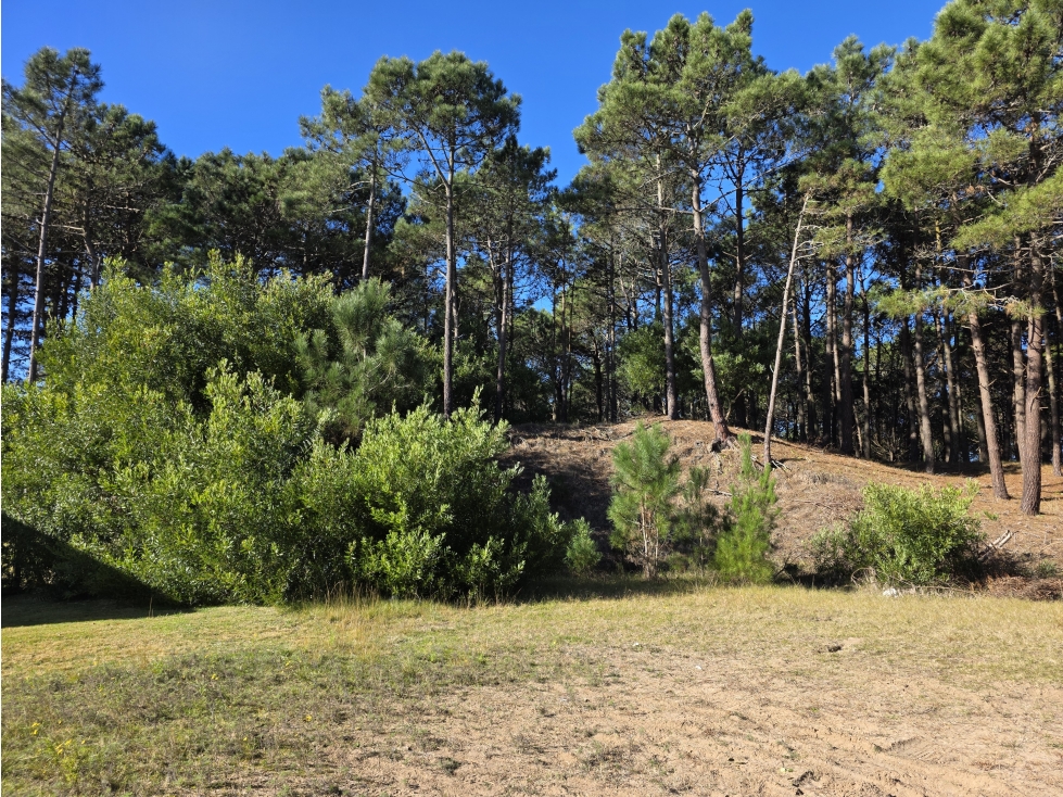 Terreno en Venta - Barrio Álamos - En Altura - 2.683 m² - Cul de Sac