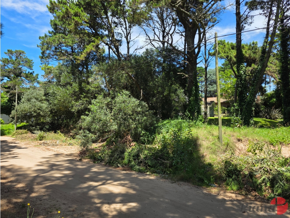 Terreno en Venta - Zona B5 - En Altura - Encantador Entorno — foto 2