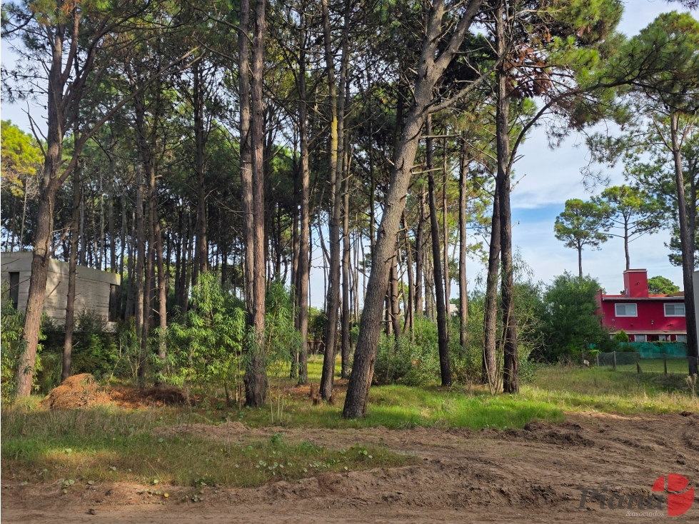Terreno en Venta - Zona Tridente/Nayades - Boulevard Eros - 834 m² - 1