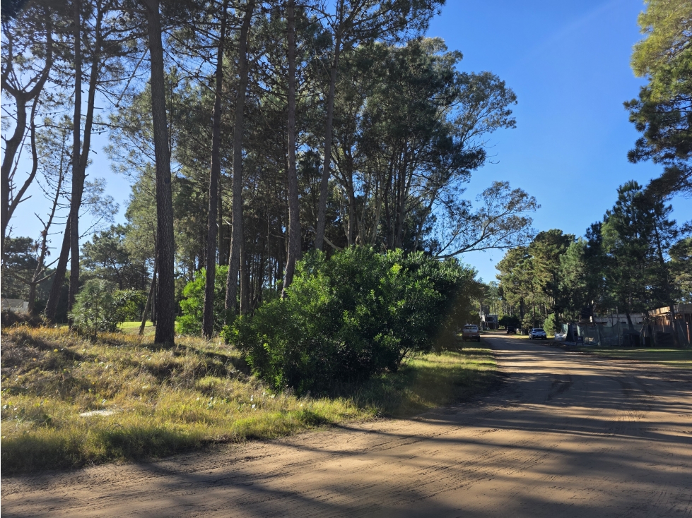Terreno en Venta - Isla del Golf - Álamos - 996 m² - 2