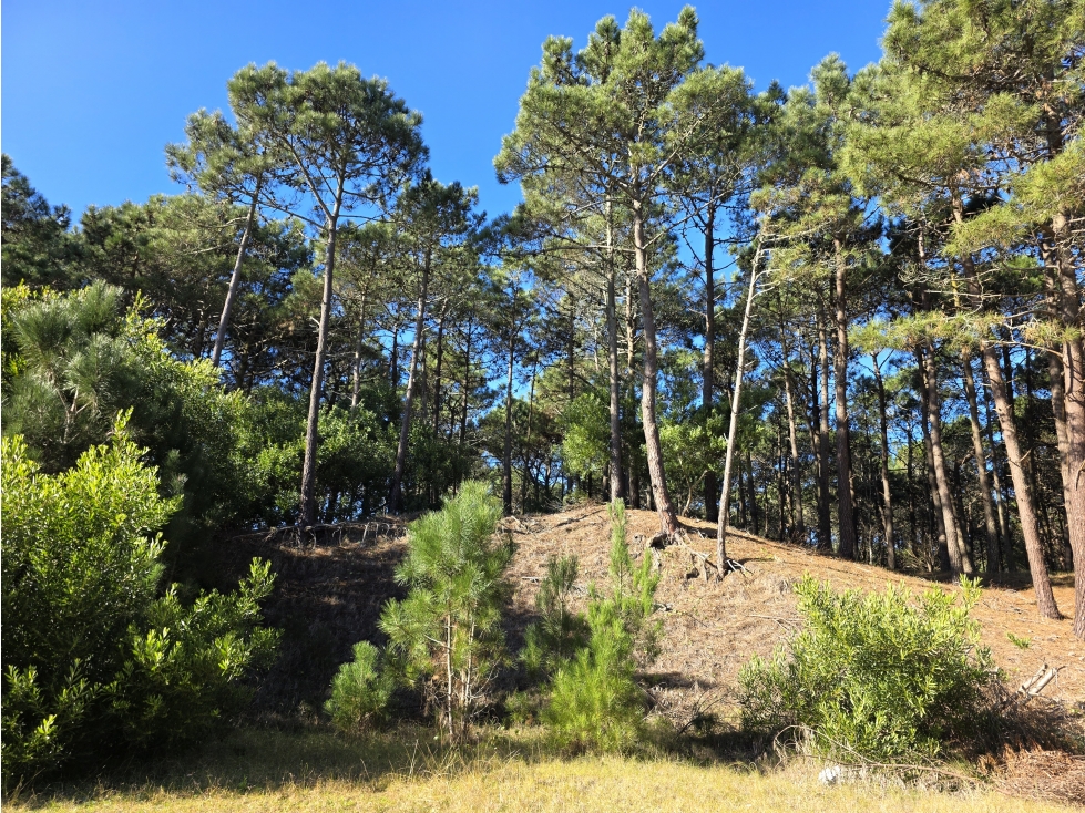 Terreno en Venta - Barrio Álamos - En Altura - 2.683 m² - Cul de Sac — foto 2