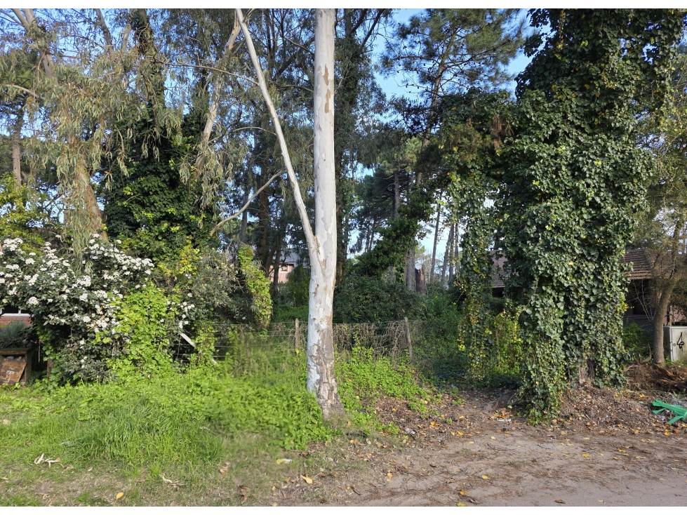 Terreno en Venta - Barrio B5 - Residencial - Orientación al sol - 2