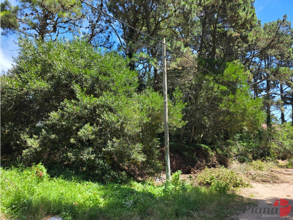 Terreno en Venta - Zona B5 - En Altura - Encantador Entorno — foto 3