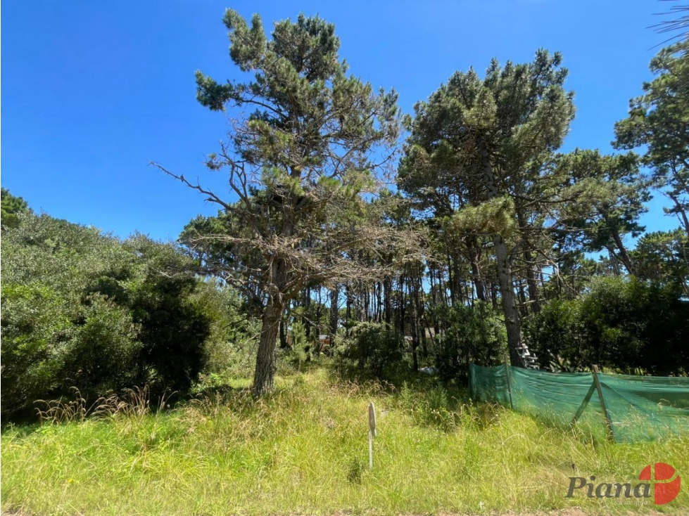 Terreno en Venta - Zona Álamos - Encantador Barrio - Arbolado