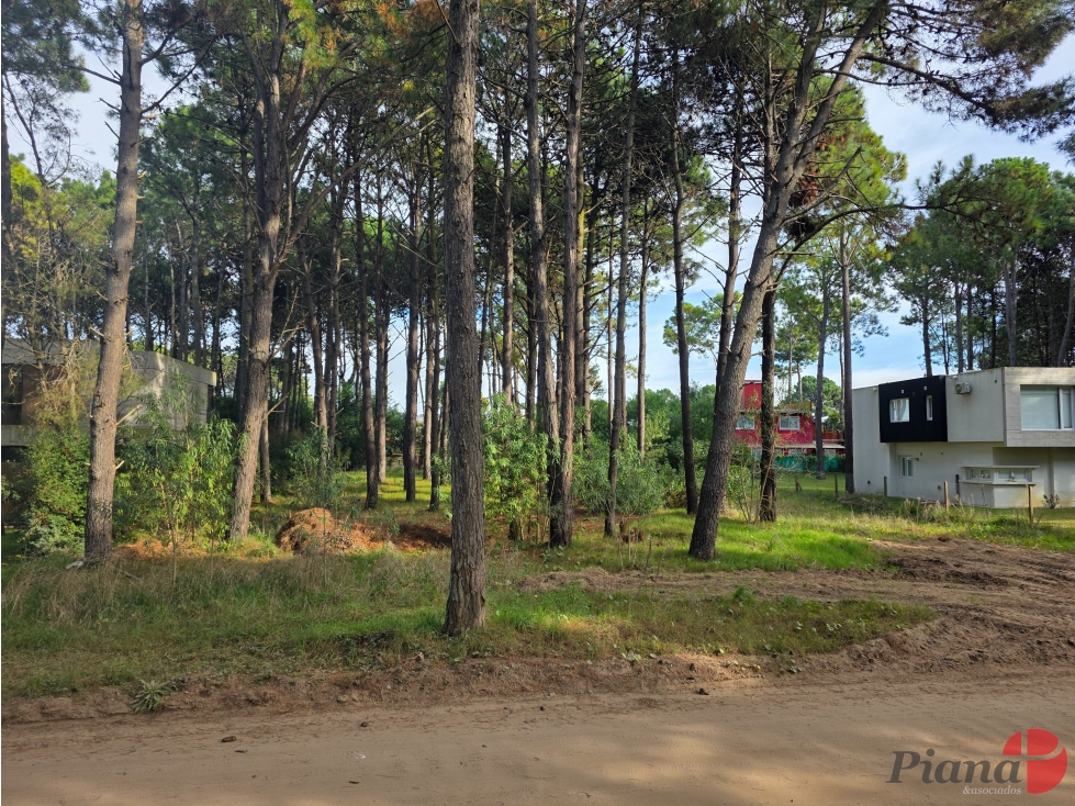Terreno en Venta - Zona Tridente/Nayades - Boulevard Eros - 834 m² - 2