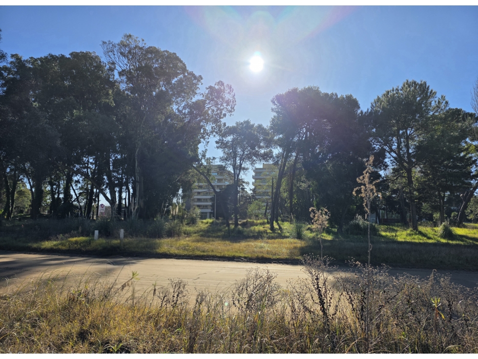Terreno en Venta - Multifamiliar Hotelero - Inversión Rentable - 2