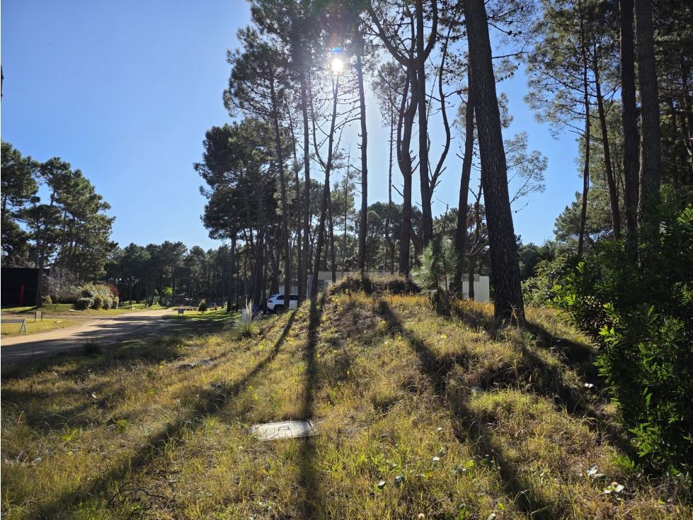 Terreno en Venta - Isla del Golf - Álamos - 996 m² - 3