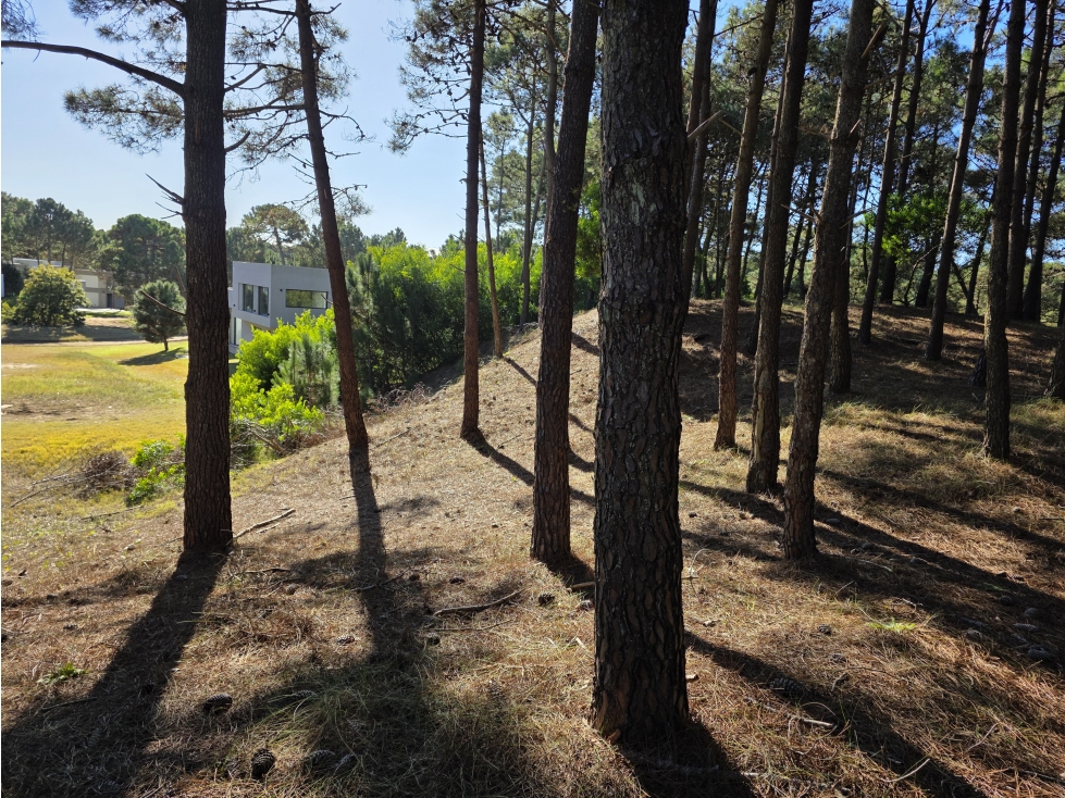 Terreno en Venta - Barrio Álamos - En Altura - 2.683 m² - Cul de Sac — foto 3