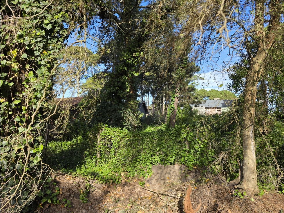 Terreno en Venta - Barrio B5 - Residencial - Orientación al sol - 3