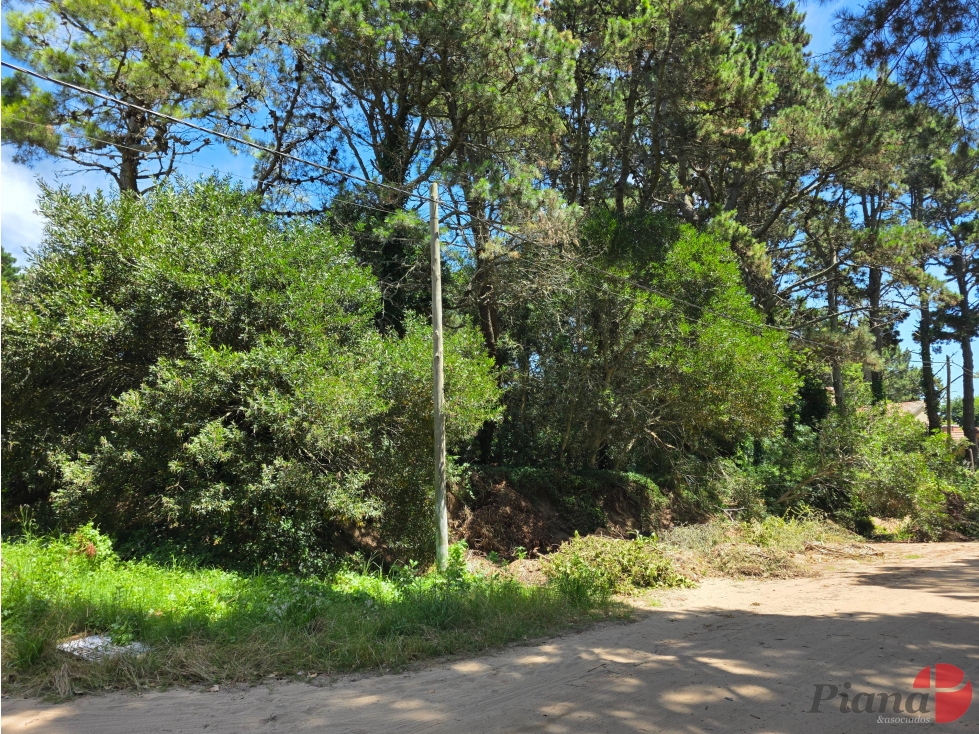 Terreno en Venta - Zona B5 - En Altura - Encantador Entorno