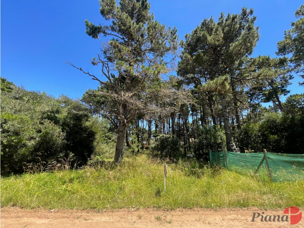 Terreno en Venta - Zona Álamos - Encantador Barrio - Arbolado — foto 2