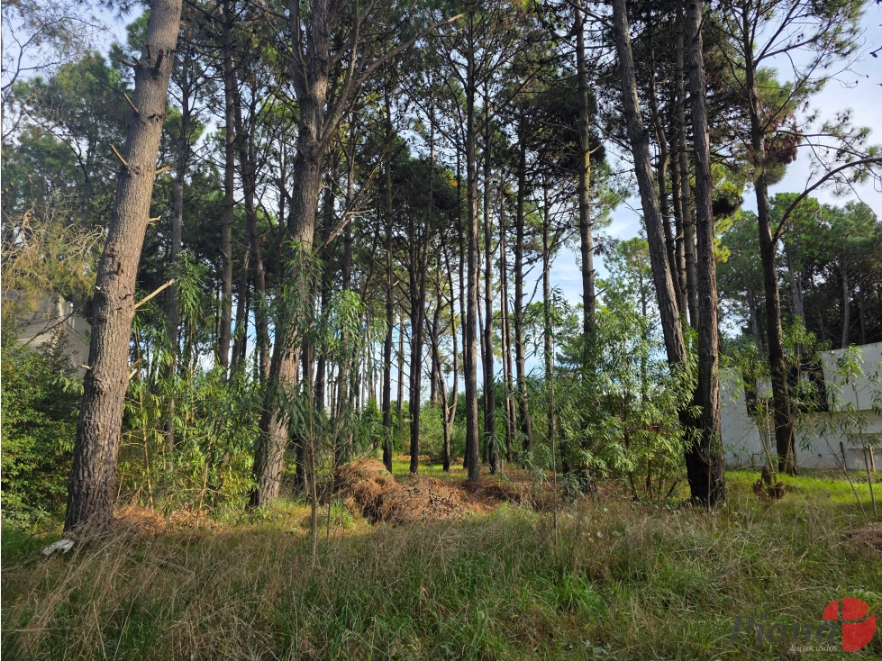 Terreno en Venta - Zona Tridente/Nayades - Boulevard Eros - 834 m² - 3