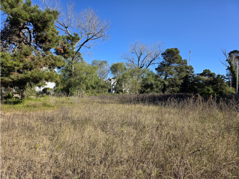 Terreno en Venta - Multifamiliar Hotelero - Inversión Rentable - 1