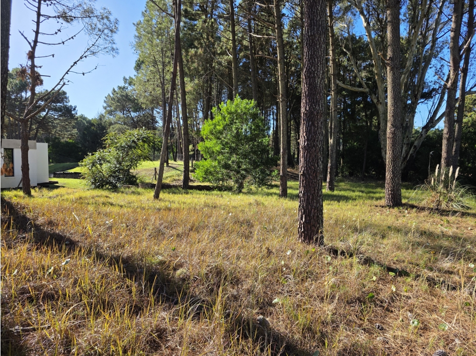 Terreno en Venta - Isla del Golf - Álamos - 996 m² - 4