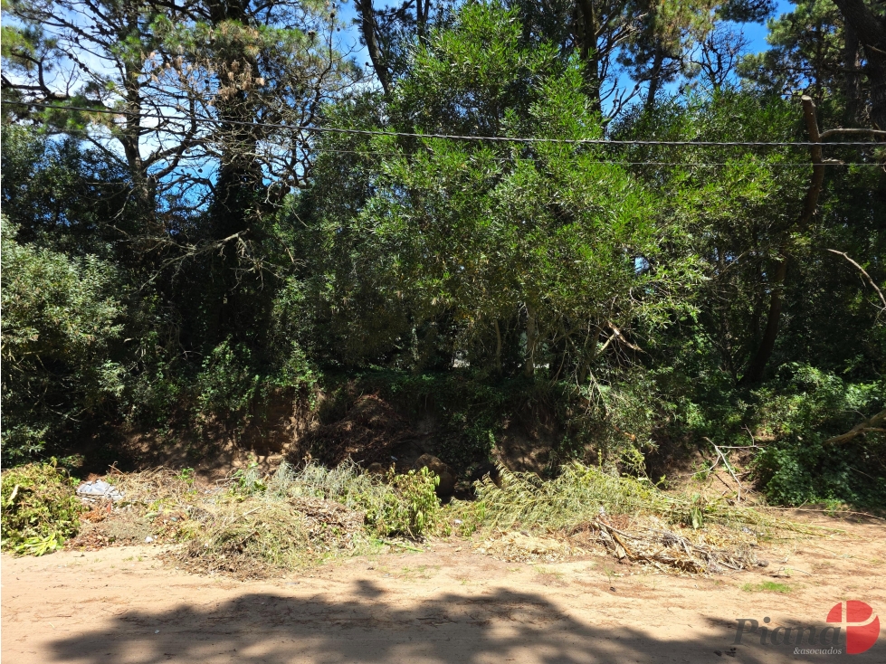 Terreno en Venta - Zona B5 - En Altura - Encantador Entorno — foto 4