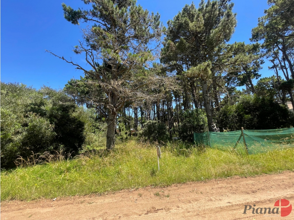 Terreno en Venta - Zona Álamos - Encantador Barrio - Arbolado — foto 3