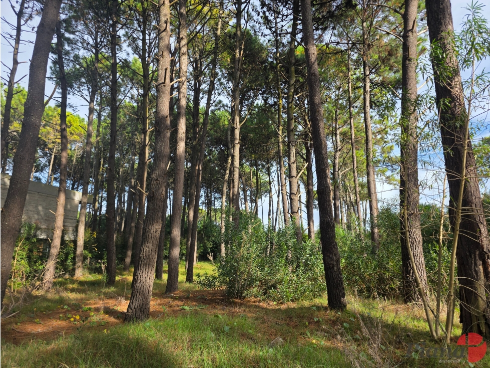 Terreno en Venta - Zona Tridente/Nayades - Boulevard Eros - 834 m² - 4