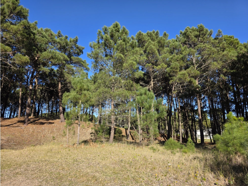 Terreno en Venta - Barrio Álamos - En Altura - 1.714 m² - Cul de Sac