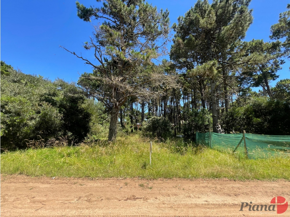 Terreno en Venta - Zona Álamos - Encantador Barrio - Arbolado — foto 4