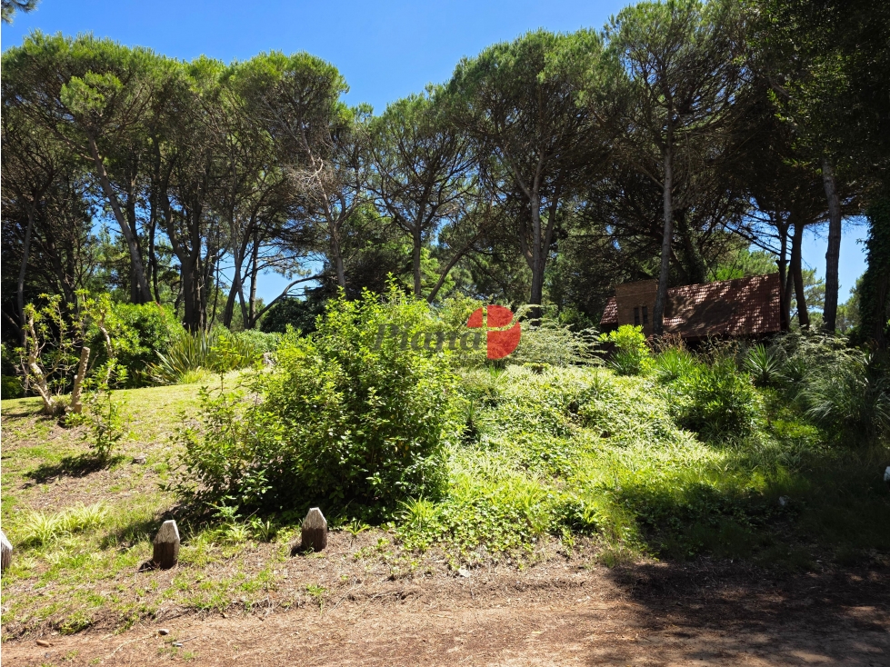 Terreno en Venta - Zona Norte - Encantador Barrio - En Altura — foto 2