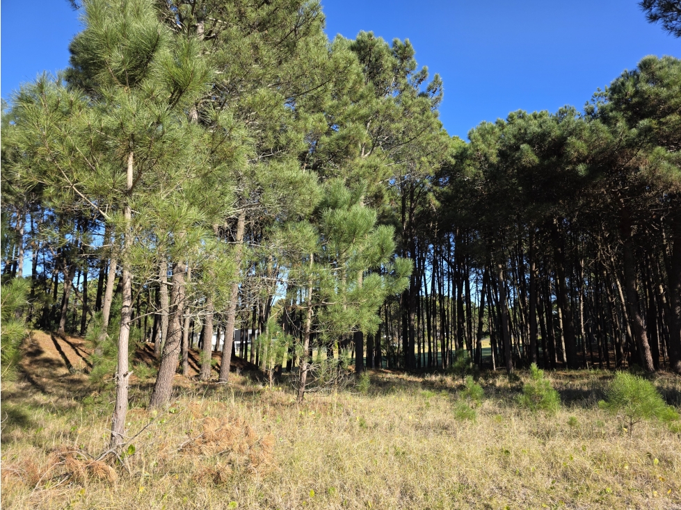 Terreno en Venta - Barrio Álamos - En Altura - 1.714 m² - Cul de Sac — foto 2