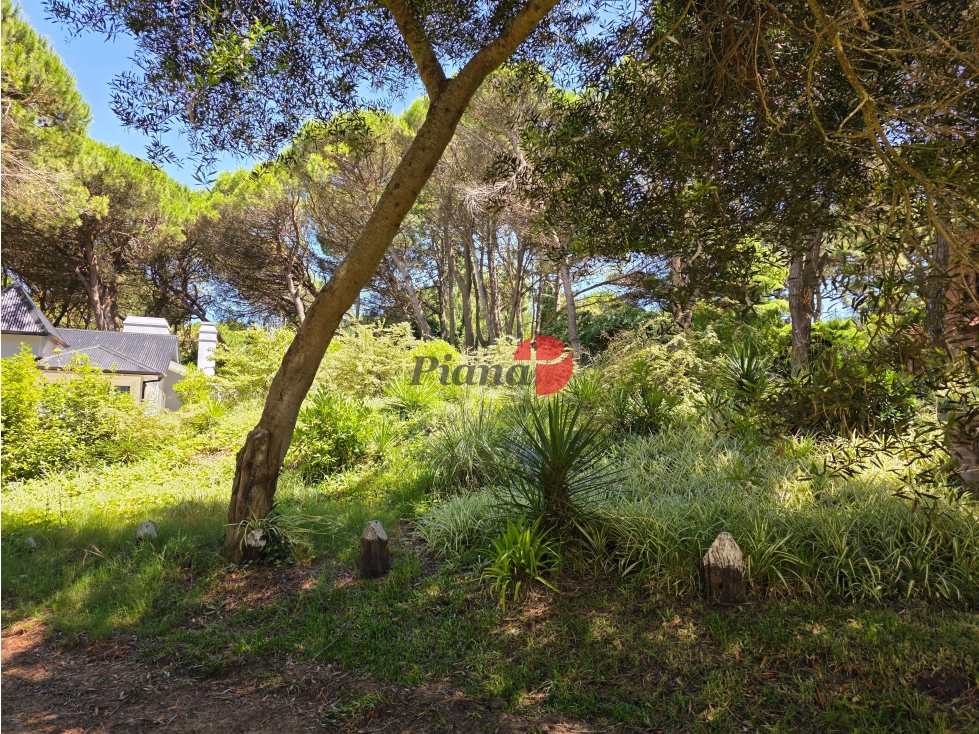 Terreno en Venta - Zona Norte - Encantador Barrio - En Altura — foto 3