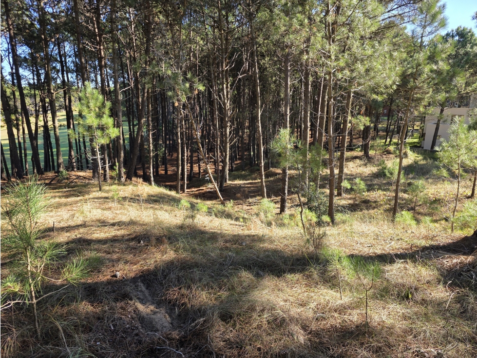 Terreno en Venta - Barrio Álamos - En Altura - 1.714 m² - Cul de Sac — foto 3
