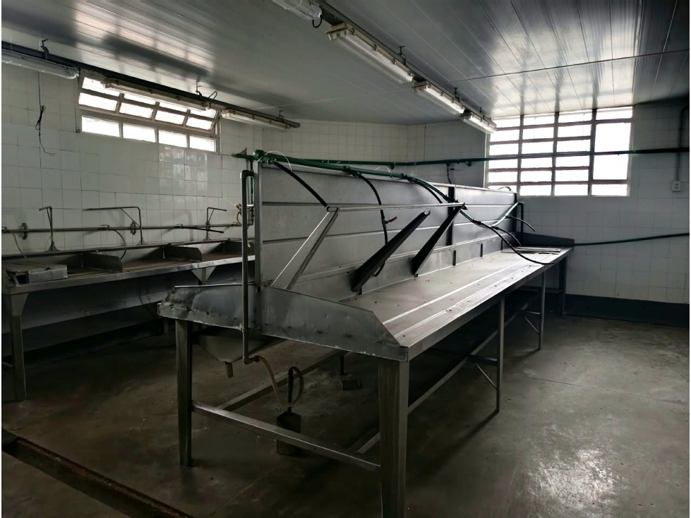 VENTA IMPORTANTE FABRICA PESQUERA ORTIZ DE ZARATE Y DON ORIONE - 4