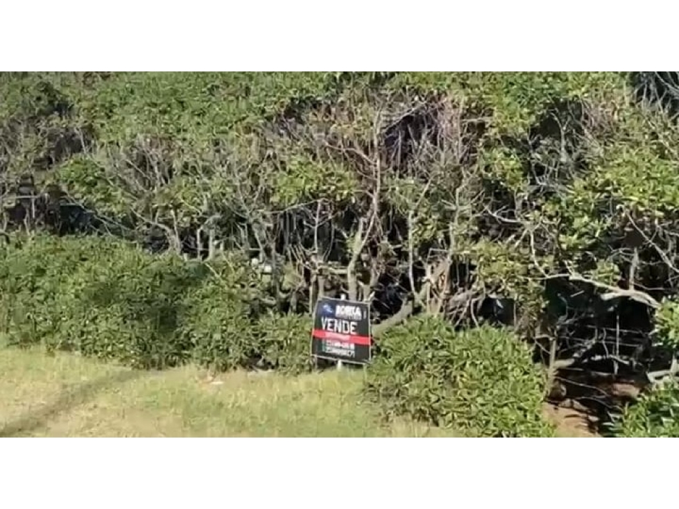 LOTE AV. F. U CAMET y BELTRAN - PRIMERA LINEA COSTA - 2