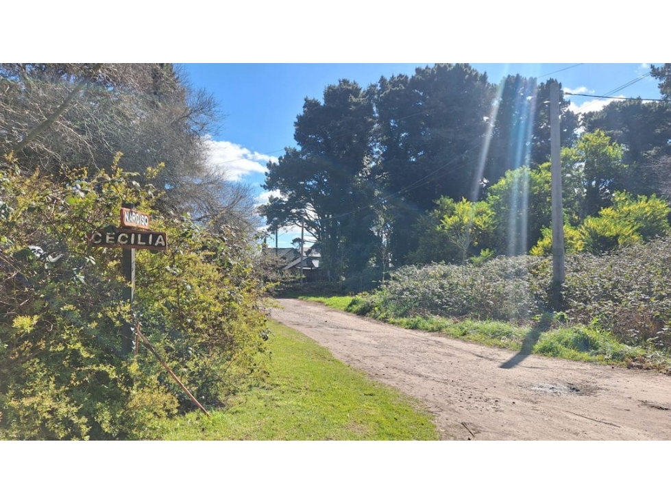 VENTA DOS LOTES EN BLOCK SIERRA DE LOS PADRES - 5