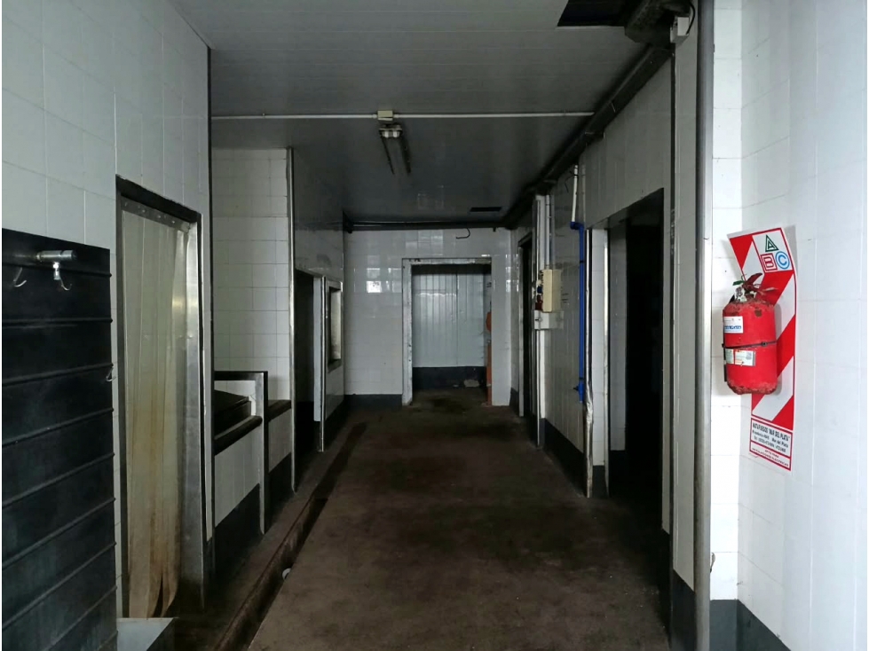 VENTA IMPORTANTE FABRICA PESQUERA ORTIZ DE ZARATE Y DON ORIONE - 6