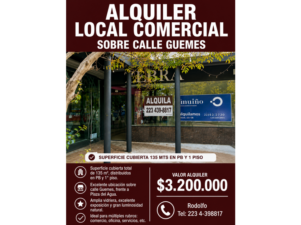 ALQ LOCAL SOBRE CALLE GUEMES FRENTE A PLAZA DEL AGUA - 1