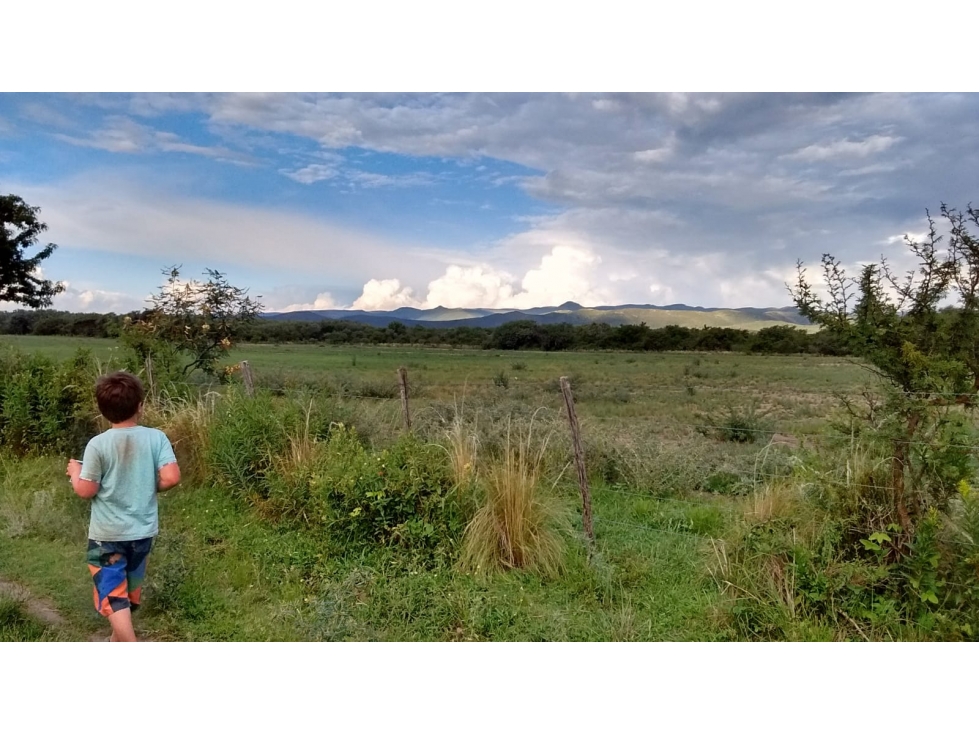 VENTA/PERMUTA/ALQUILA Campo en Ambul Córdoba - 5