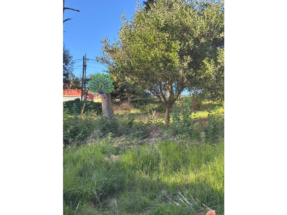 Venta excelente Lote de 480 m2 salida a 2 calles a 50 mts. de la playa - 6
