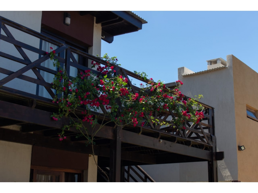 En Venta Complejo de dptos. con piscina!! Impecable estado - 5