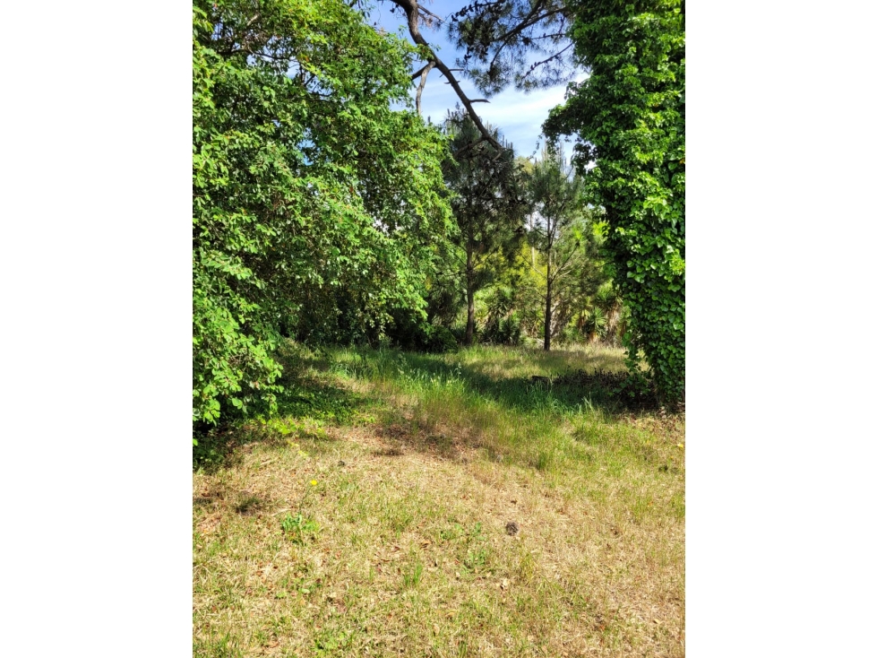 Venta lote esquina!!! - 2