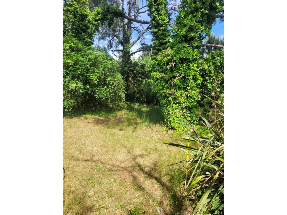 Venta lote esquina!!! - 3