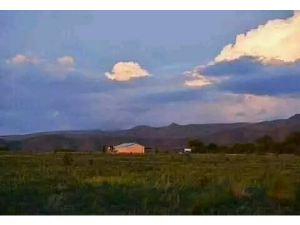 VENTA/PERMUTA/ALQUILA Campo en Ambul Córdoba - 4