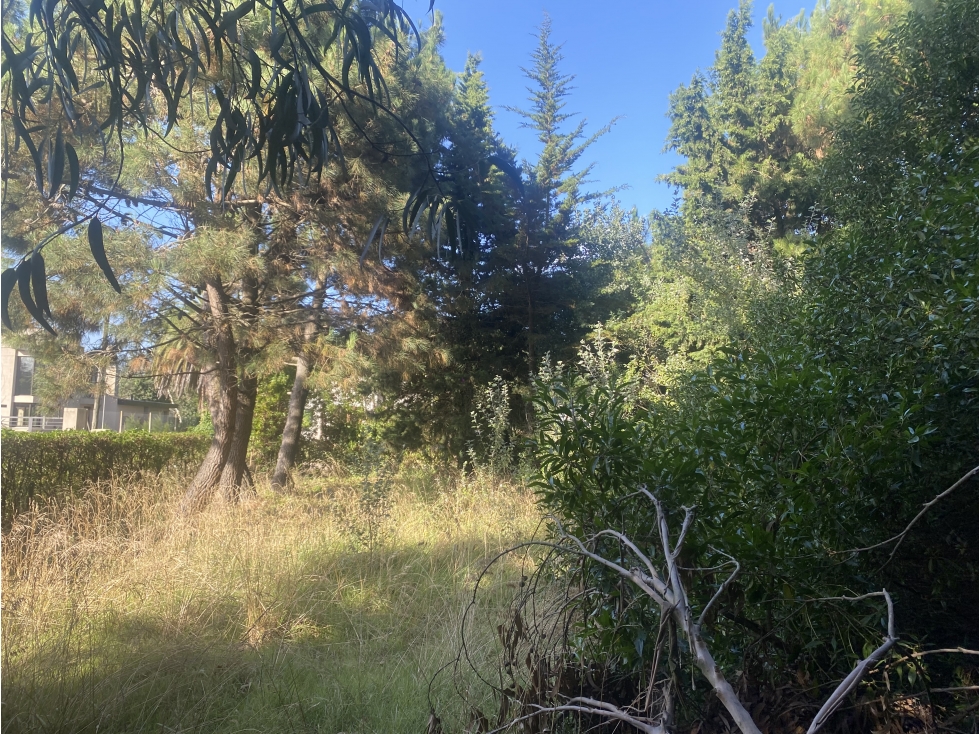 Lote en venta en Mar de Cobo - 3