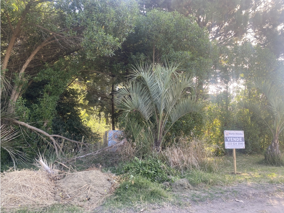 Lote en venta en Mar de Cobo - 4