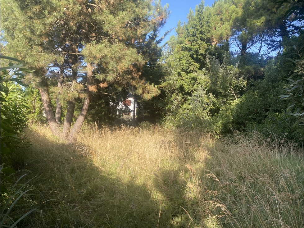 Lote en venta en Mar de Cobo - 5