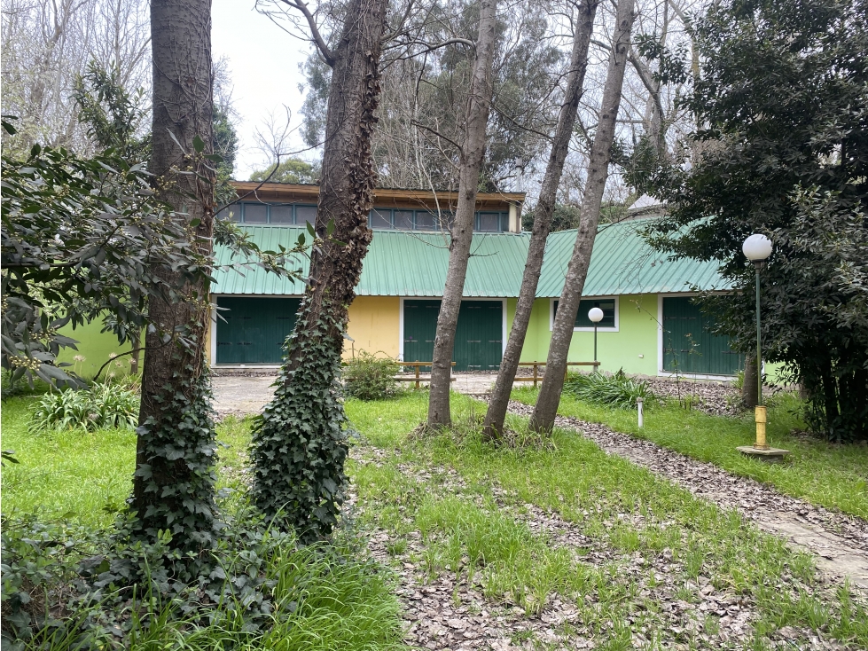 Casa con 2 lotes y pileta en Mar de Cobo - 3